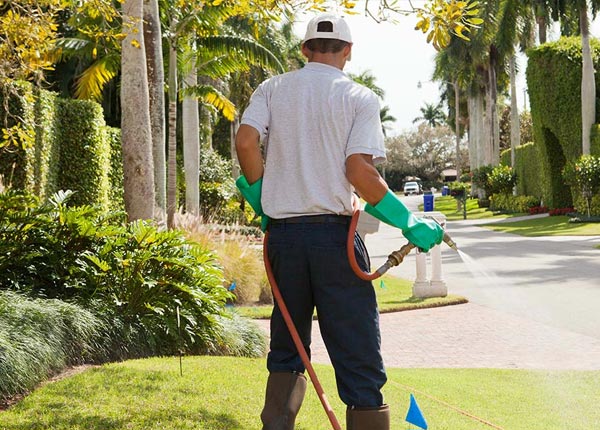 About Dunnigan CA Pest Control